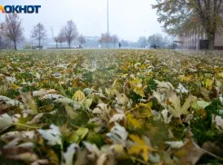 Пасмурно и ветрено: погода на понедельник