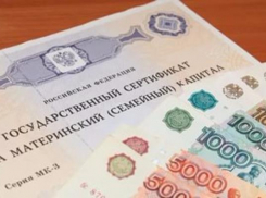 Волжанам нужно поторопиться, чтобы получить часть маткапитала