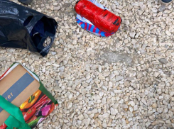 «Мефедроновая королева» из Рязани сядет на 16 лет за попытку сбыта наркотиков в Волгоградской области