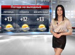 Лето возвращается в Волжский: Анастасия Куликова о погоде на выходные