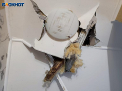 Читатели считают, что женщина не сможет найти хозяев деревьев, которые проломили ей крышу