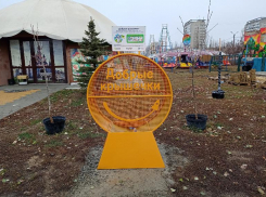 В Волжском в парках установили конструкции для сбора крышечек