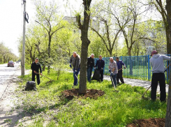 Весенний месячник по благоустройству набирает обороты в Волжском