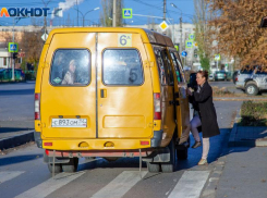 Мэрия Волжского проиграла очередной суд УФАС по вопросу маршруток
