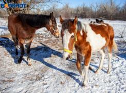 Магнитная буря и сильный ветер в среду ждут волжан: прогноз погоды