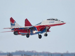 Волжскому фотографу удалось «подкрасться» к стрижам несказанно близко