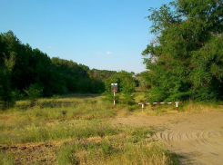 Облкомприроды предоставит в пользование лесные участки