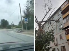 Рухнувшие светофоры, деревья и павильоны: фото и видео последствий непогоды в Волжском