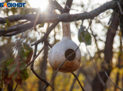 Девушкам в Волжском не стоит общаться с незнакомцами