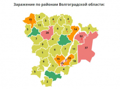 Количество заболевших COVID-19 в Волжском достигло 37 человек