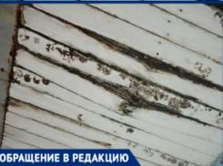 Жители многоэтажки в 9-м микрорайоне Волжского боятся выходить из подъезда из-за разрушающегося козырька 