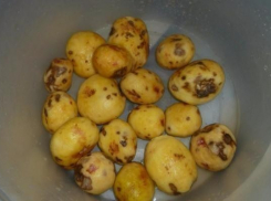 В Волжском после скандала с гнилой картошкой в 11 школе уволили работников столовой