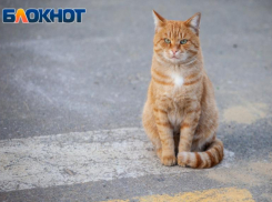 Первый день весны в Волжском будет прохладным: прогноз погоды