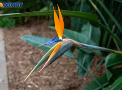 День может показаться рациональным: гороскоп на 13 февраля