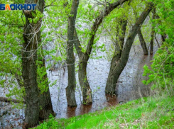 Что можно и нельзя делать волжанам в Калинов день