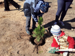 В Волжском семьи с детьми сами оборудовали площадку во дворе 