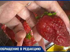 Гниль под красивой крышкой: в Волжском «Перекресток» снова продает испорченные фрукты
