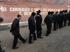 В Волгоградской области вышли на свободу более 500 преступников