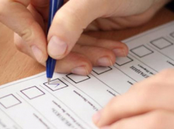 Волжские избиратели получили по два бюллетеня