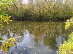 В Волгоградской области ведут борьбу с загрязнением водоемов