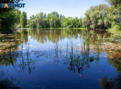 Волжан просят признаться в любви к водоему – лучший поедет на Байкал