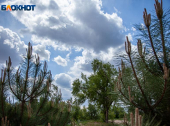 Волжан обрадуют долгожданные денежные поступления: астрологический прогноз на неделю