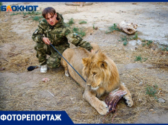 Как победить ЗооАД? Почему люди истребляют львов ради трофея и заключают диких животных в «концлагеря»