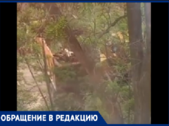 Волжане третьи выходные подряд жалуются на шум стройки у дома и бездействие полиции
