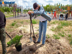 Что нельзя делать волжанам 19 июня в день Лариона Пропольника: народные приметы