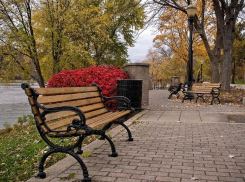 С наступлением тепла в Волжском МБУ «КБ» закупает парковые скамейки на 345 тысяч