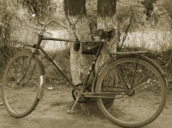 В Волжском из дачного домика украли старый велосипед
