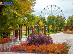 Топ-5 самых важных новостей за неделю в Волжском