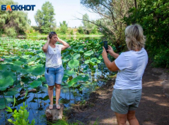 Волжан приглашают принять участие в областном фотоконкурсе