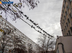 День, когда мороз выходит из леса: что означал Варварин день у наших предков