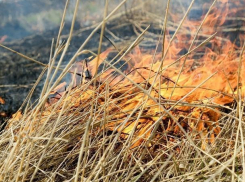 В Среднеахтубинском районе сгорело 120 тонн сена