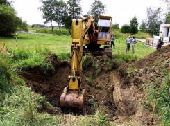 Предприниматель из Ленинского района уничтожил лесной фонд на 13 миллионов