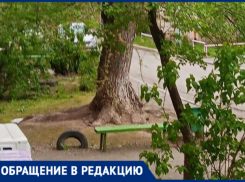 В Волжском дерево из перечня вредителей разрушает дом, но УК бездействует