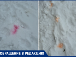 В Волжском замечены следы отравы для собак