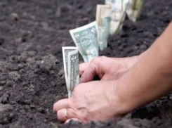 В Волгоградской области кадастровая стоимость земли выросла в разы