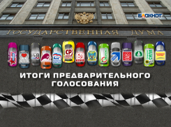 По итогам предварительного голосования в политические лидеры вышли: «Единая Россия», «Справедливая Россия», КПРФ 