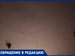 «Скоро крокодилы поползут»: потоп в подвале обернулся апокалипсисом комаров для волжан
