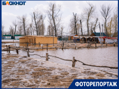 Разлив Волги затопил парк-клуб в хуторе Бобры