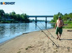 Рыбаки рассказали, как поймать большой улов на Ахтубе в Волжском