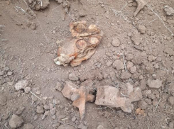 Погибший во взрыве под Волгоградом подросток оказался внуком командира поискового отряда