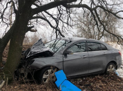 Вылетел на встречку и в кювет: в аварии под Волжским пострадала автоледи