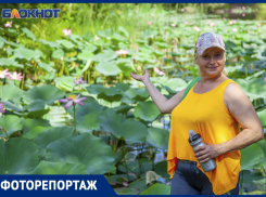 Прекрасные лотосы зацвели в Волгоградской области: фоторепортаж
