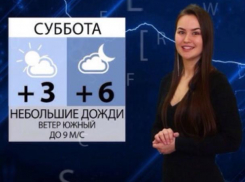 Никакой дождь не омрачит радость приближающихся выходных