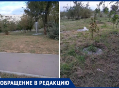 «Фонтаны бьют, а деревья сохнут»: волжанка пожаловалась на странный полив в парке