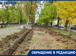 Жительница Волжского бьет тревогу из-за снесенных деревьев в сквере