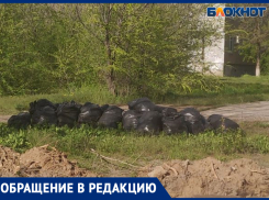 «Город превратится в свинарник»: волжанка жалуется на службы, которые уже месяц не вывозят собранный мусор